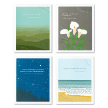 Compendium positivt grøn 4 -pakke sympati kort - Assorterede design 5,38 i x 4,25 in
