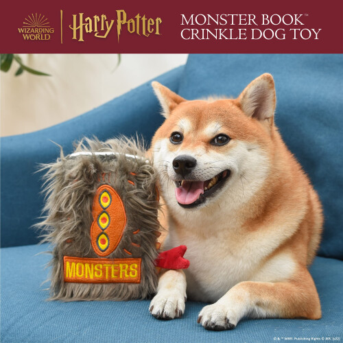 Harry Potter Harry Pott 1