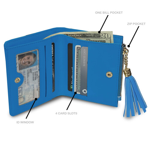 Mini organizer Littlearth Carolina Panthers NFL 1
