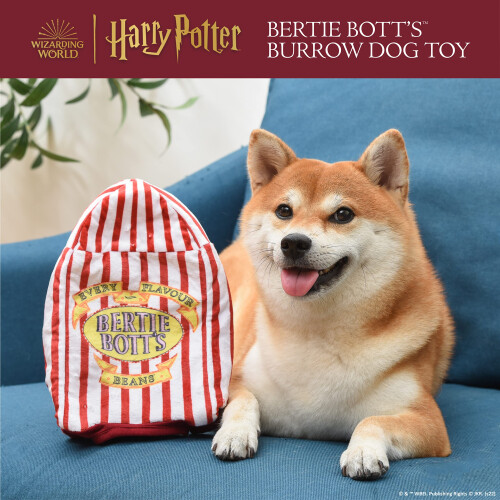 Harry Potter Harry Pott 1