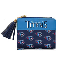 Littlearth Tennessee Titans NFL Mini Szervezo