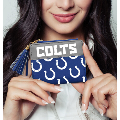 Littlearth Indianapolis Colts NFL Mini-organizer 2