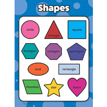Palace Curriculum Shapes - Educational Poster Chart - LAMINATED (18 x 24)