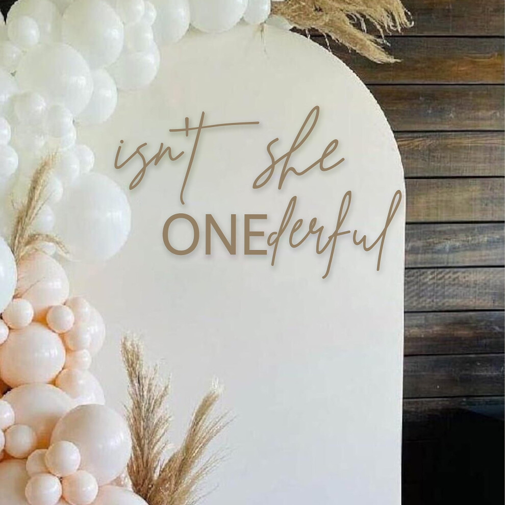 Cantly Isn't She Onederful First Birthday Party Theme Backdrop Sticker - Newborn Onderful Birthday Girl Photography Background For 1St Birthday Baby Party D
