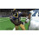 Madden NFL 08  Xbox 360 (megjtva) 3