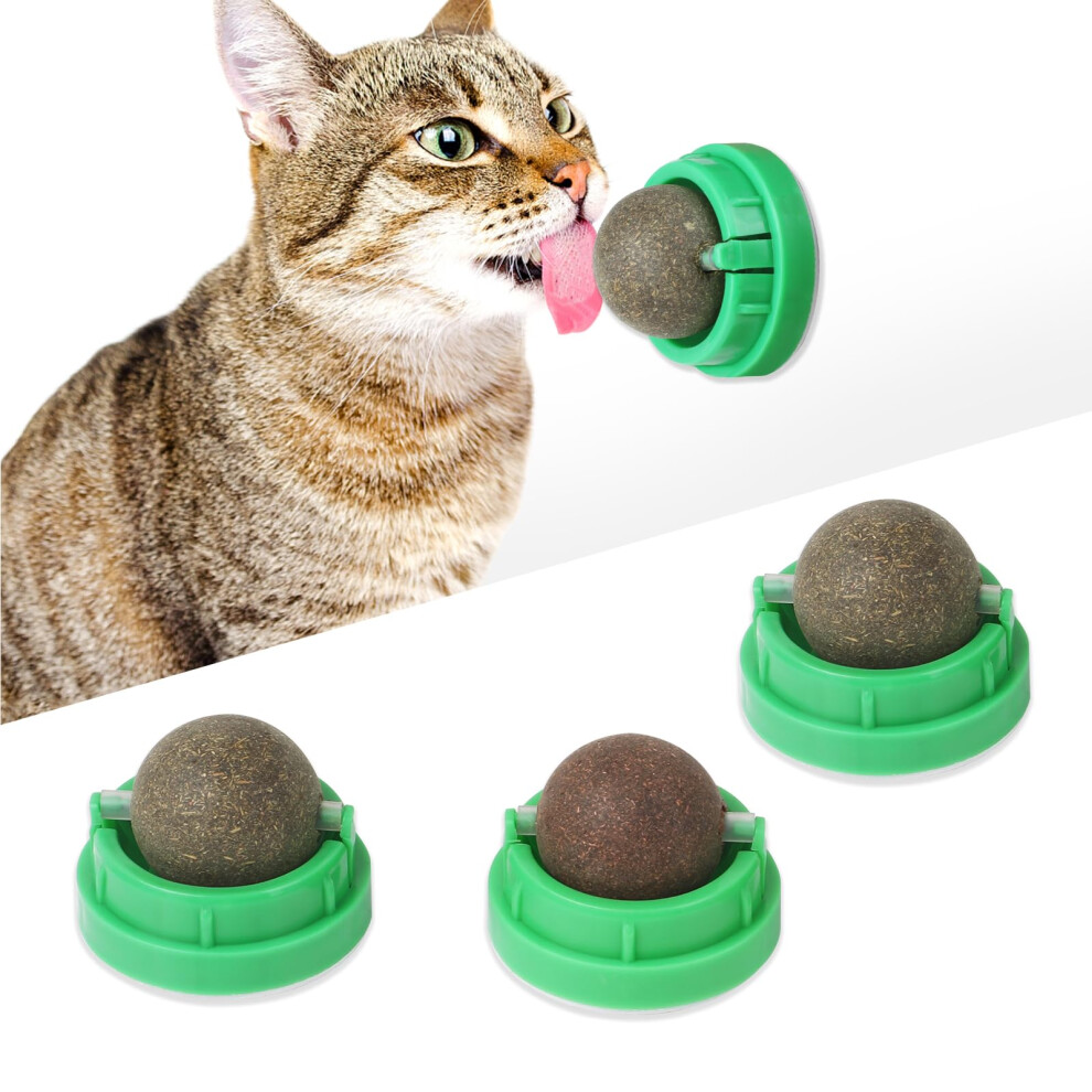 CCINEE 3PC