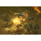 Diablo III: Ultimate Evil Edition 4