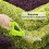 2 in 1 3.6v Lithium Ion Cordless Hedge Trimmer,Grass Shear 12