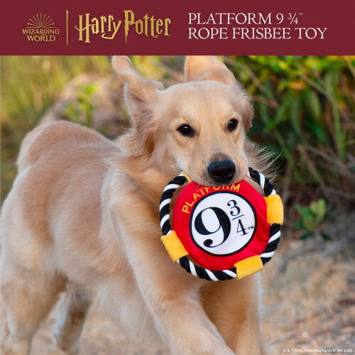 Harry Potter Harry Pott 1