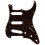 Fender Fender Modern PickGuard Stratocaster 11 -Hole - Tortoise Shell 4