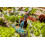 Gardena 2-i-1 KOMBISYSTEM KLØRIVE - HG-03165-20 4