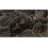 Microsoft Gears of War 2 - Xbox 360 (??a?e?   ???) 3