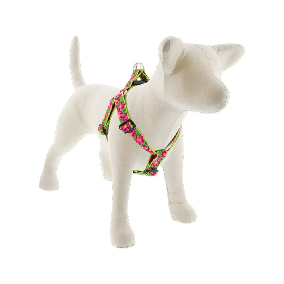Lupine Step-In-Hundegeschirr, 2,5 Cm Breit, Petunien, Umfang 48,3 71,1 Cm-image