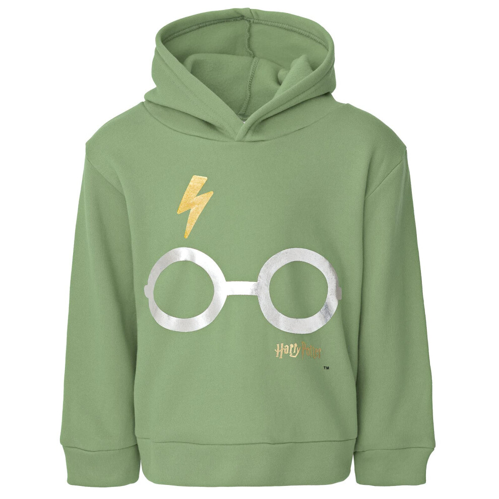 Harry Potter Big Boys Fleece Pullover Hoodie Green 18-20