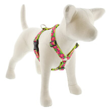 Nastaviteln postroj pre psa Lupine s pet niami, rka 2,5 cm, obvod 50-81 cm
