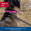 Coastal Cotton Web Training Dog Leash Red 20 ft. 3
