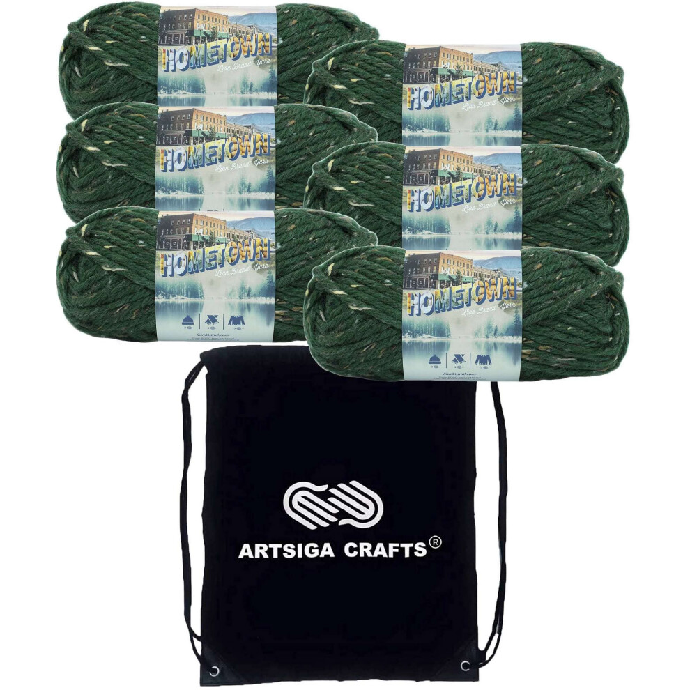 Lion Brand Hometown Riverdale Tweed 135T-318 (6-Skeins - Same Dye Lot) Weight S Bulky #6 Acrylic Yarn for Crocheting and Knitting with Project Bag