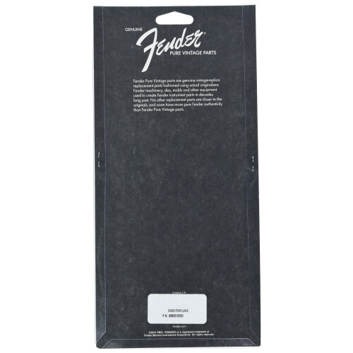 Fender Fender Pure Vintage Chassis Stems gitarrtillbehr stora 1