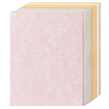 Pergmentpapper - 8,5 x 11 bokstavsstorlek Pergamentkort Stock 65lb Tungvikt papper tjockt vintage papper pap04 (8.5x11Inch/70 -kns 10 blandade f