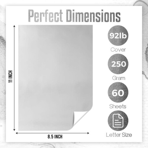 Metallisk sølv cardstock -papir 6 2