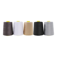 Mandala Crafts 5 Pack Serger Threads Cones Spools - 20S/2 30000 Yards Polyester Assortiment Neutrale Kleuren Garens voor Sergers Machine en Overlock