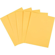 Staples 490944 Pastellfarbenes Kopierpapier, 8 1/2 Zoll x 11 Zoll, Goldruten-Ries