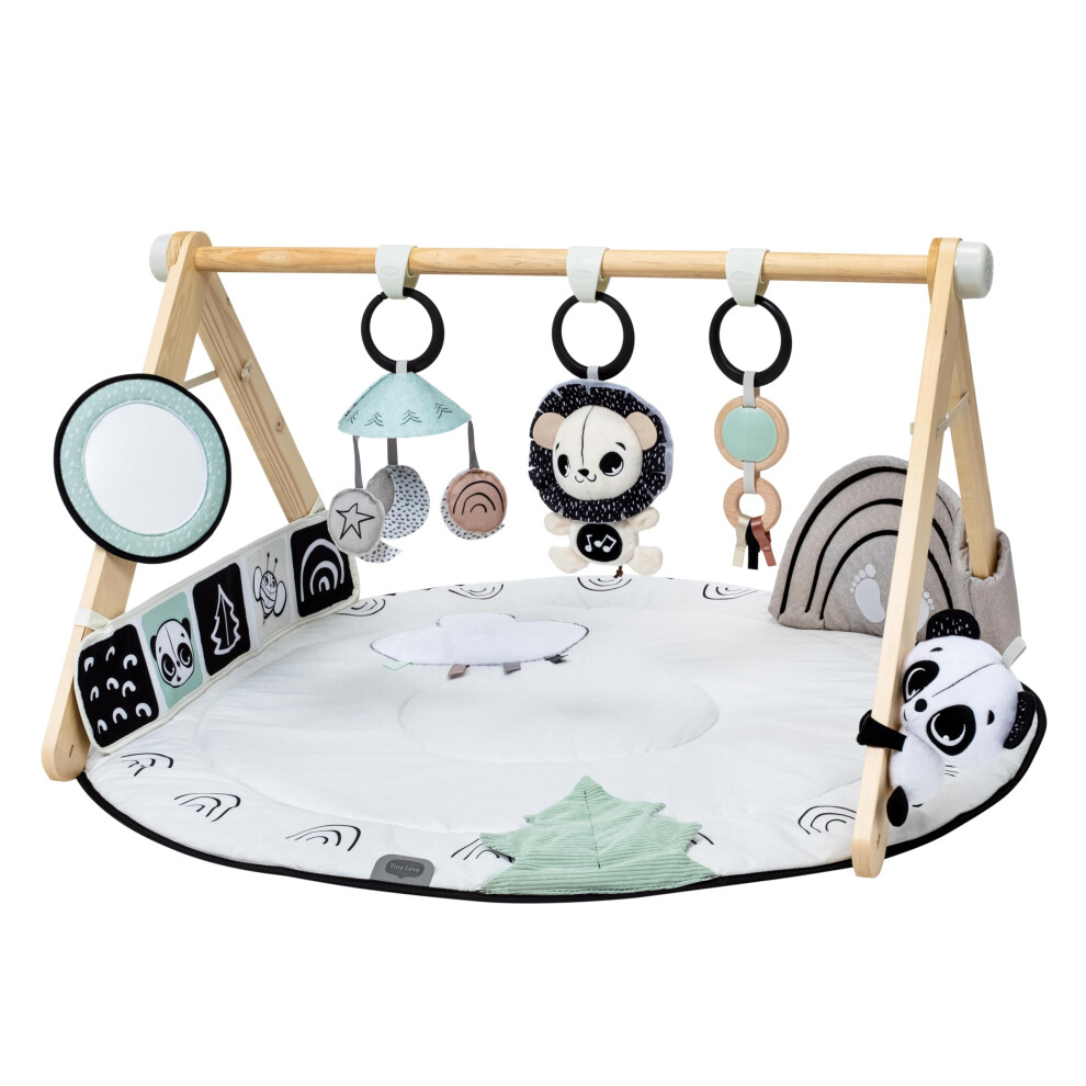 Tiny Love Luxe Developmental Gymini - Black & White D?cor Collection  Black