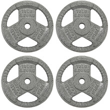 Plaques de poids en fonte Fitvids pour musculation et halt  rophilie, 2,5 cm (1 po) au centre, 4,5 kg (lot de 4)