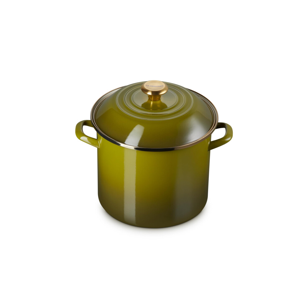 Le Creuset Enamel on Steel Stockpot  10 qt.  Olive