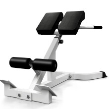 SUCXDZQ Roman Chair Back Extender - Angle & Height Dual Adjustable Hyperextension Bench for Home Gym - Adjustable Back Exercise Machine (White)