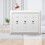 AmerTac 4040TTTDW Wall Plate white 2