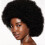 Shiseido Shiseido R 4
