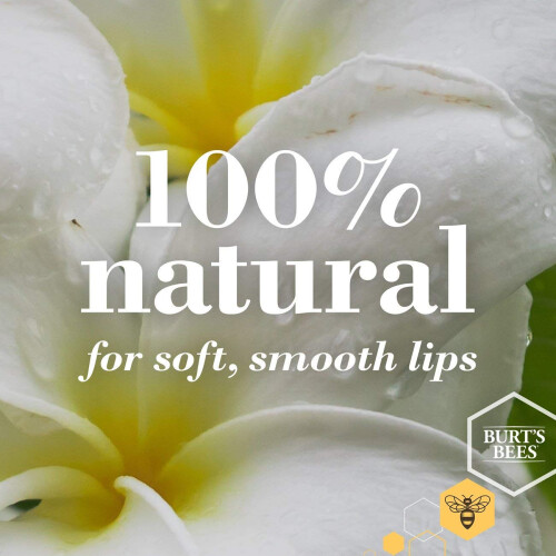 Burt's Bees Burt's Bees 100% Φυσικό Χειλιών Βάλσαμο, Αγγούρι-Μέντα με Κερί Μέλισσας, 4 Σωλήνες 1