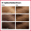 Revlon Revlon Permanente Haarfarbe, 100% Grauabdeckung, Ammoniakfrei, 57 Hellste Goldbraun 2