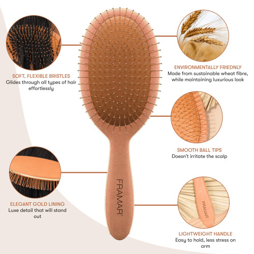 FRAMAR Spazzola Detangler per Capelli Bagnati - Spazzole per Donne con Capelli Spessi 2