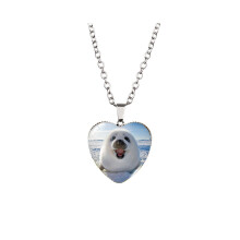 (XXXL294) Collier de chat en forme de cœur avec des longueurs polyvalentes et des couleurs époustouflantes