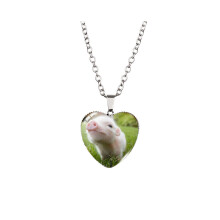 (XXXL299) Collier de chat en forme de cœur avec des longueurs polyvalentes et des couleurs époustouflantes