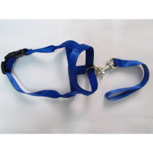 (Blu, S) Museruola per cani in nylon di qualità premium, antiabbaio e antimorso, strumento di addestramento blu-rosso-nero