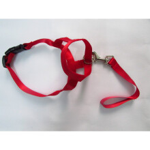(Rot, S) Premium-Maulkorb für Hunde in Nylonqualität, Antibark Antibite Training Blueredblack Tool