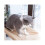 s Pet Cat Hammock Singlelayer Suction Cup Hanging Window All Season 4