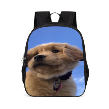 Mochila elegante para perros de 15 pulgadas, de gran volumen y tela Oxford ligera para la escuela.