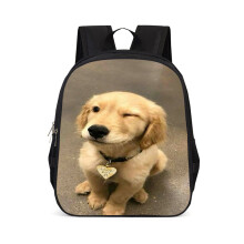 Mochila elegante para perros de 22 pulgadas y 15 pulgadas, de gran volumen y tela Oxford ligera para la escuela.