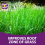 Richard Jackson Flower Power Moss Remover & Lawn Feeder, 4