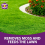 Richard Jackson Flower Power Moss Remover & Lawn Feeder, 8
