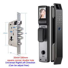 Smart Door Lock Face Recognition Fingerprint Password Camera