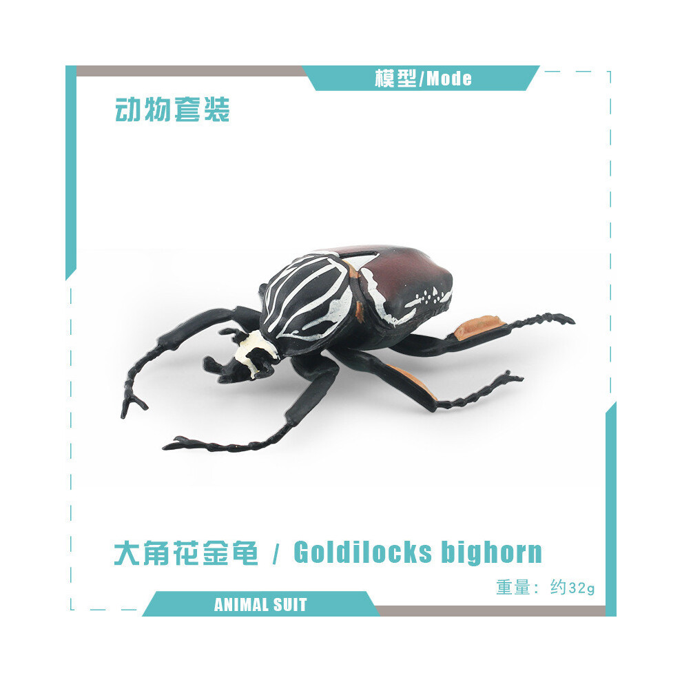 (Horned Beetle 32g) Intricate Insect Pvc Collectibles Featuring Unique Varieties For Educational And Decorative Use