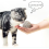 Natural Super Clumping Cat Litter 20L 2
