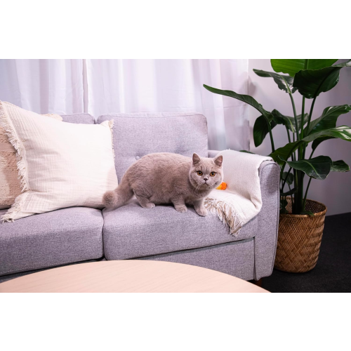 Sanicat Sanicat - Classic Marseille soap scented cat 2