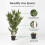 Homescapes Homescapes Green 3ft Bamboo Tree Artificial Plant with Pot, 95 cm 2
