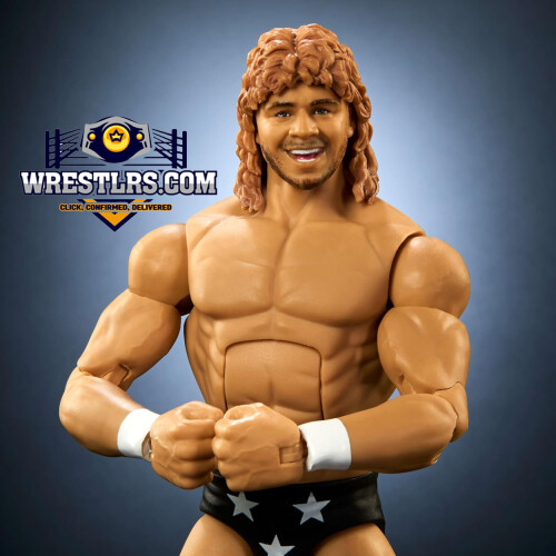 WWE Brian Pillman - WWE Elite Series 116 2
